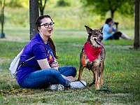 Adoptuj Warszawiaka  Wydarzenie promujące adopcję zwierząt. Organizator: Schronisko dla Bezdomnych Zwierząt "Na Paluchu". 18 sierpnia 2019, Park Raszyński w Raszynie. : park raszyński, adoptuj warszawiaka, na paluchu, schronisko dla zwierząt, centrum warszawy, raszyn